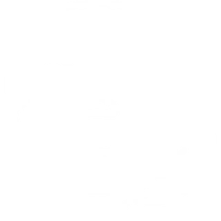 Icono