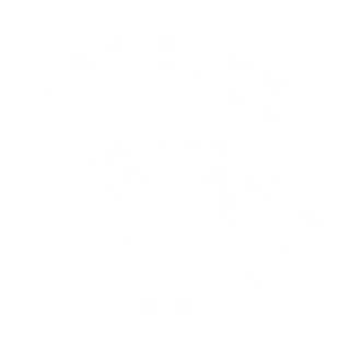 Icono